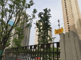 近期電子圍欄和高壓電網案例分享